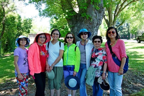 Golden Crane Senior Center, 2013