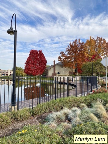 Golden Crane Senior Center, 2020